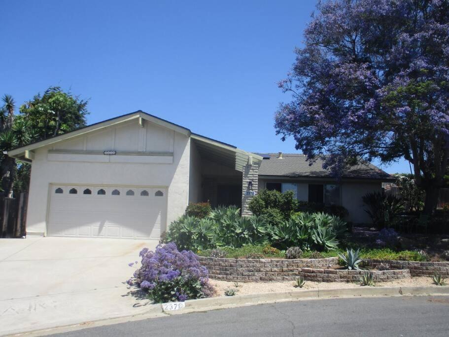 Custom Home - Beach Close/Convenient To Everything Oceanside Eksteriør bilde